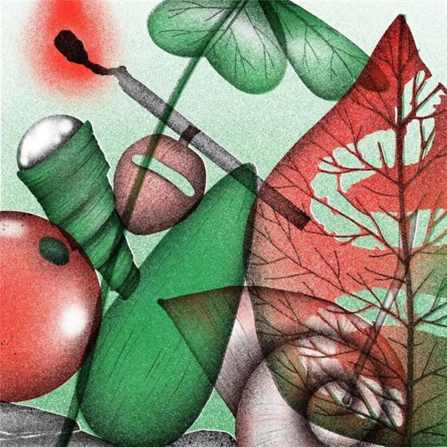 太会画了！法国插画师把水果拆成绝美透视图