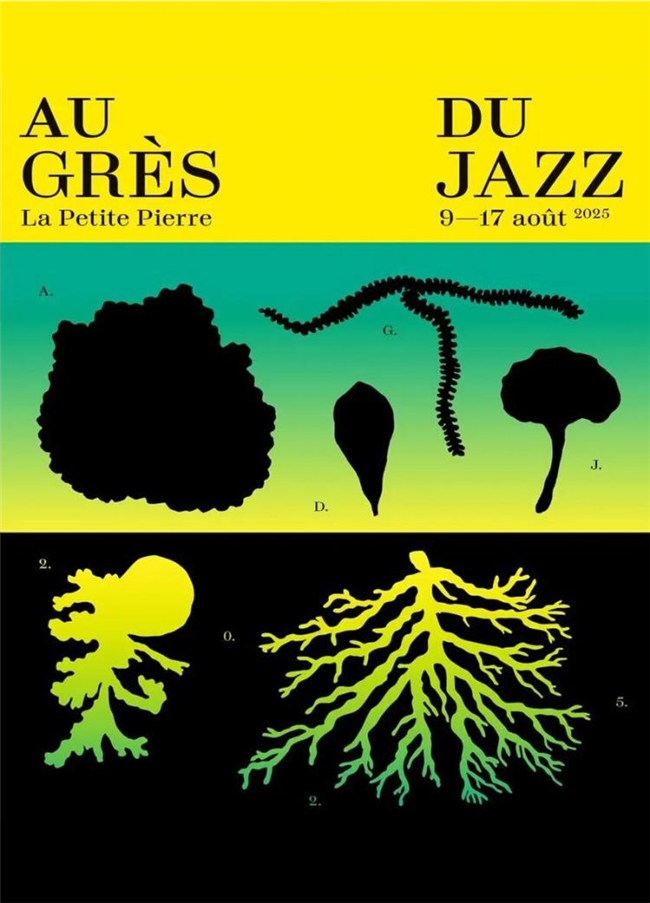 2025 法国 TOPAFF 百佳音乐海报:设计与艺术的视觉盛宴