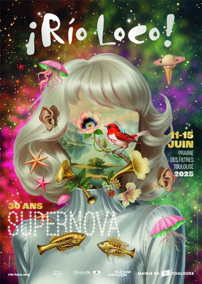 2025 法国 TOPAFF 百佳音乐海报:设计与艺术的视觉盛宴