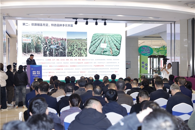 北国粮脉 彩金焕新  吉林杂粮杂豆品牌首发仪式暨春季营销  活动启幕