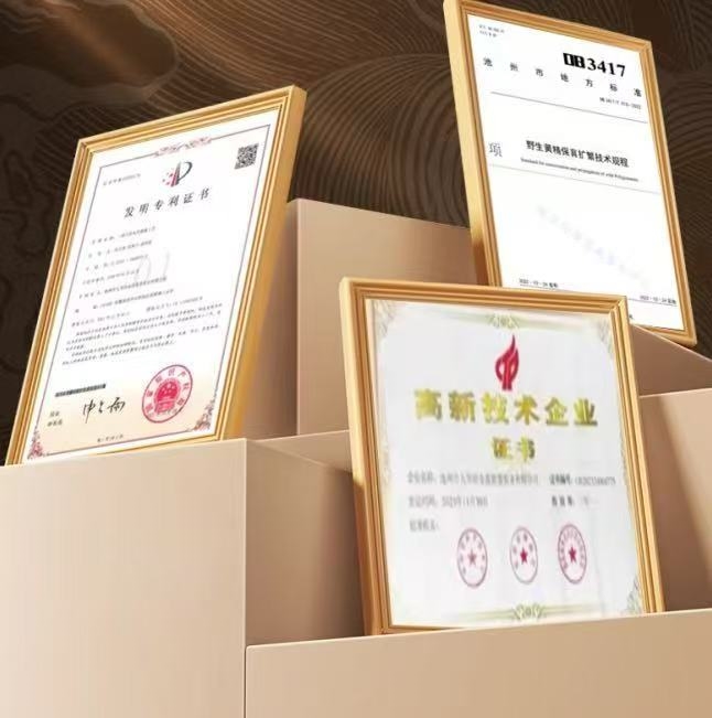 九制黄精什么品牌正宗？2026不上火黄精推荐，春夏季吃很合适