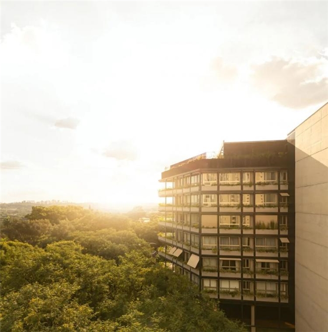 圣保罗 Pascoal Vita 大楼：几何形态与自然景观的融合