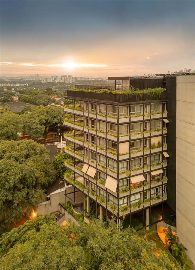 圣保罗 Pascoal Vita 大楼：几何形态与自然景观的融合