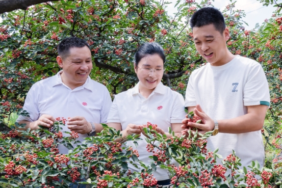 5.0版全新升级、获双非遗认证，三顾冒菜的18年长青密码