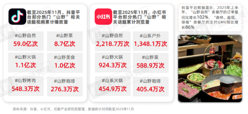 山野风进入长期赛道：鱼你在一起用“美学+双品类”引领全球化新范式