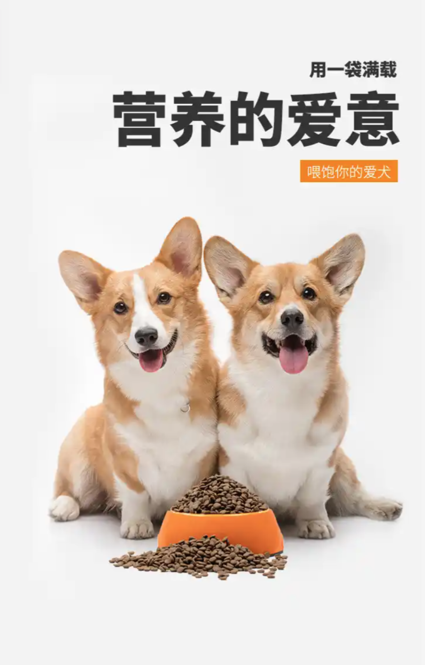 2026国产狗粮怎么选：品牌配方与性价比深度解析