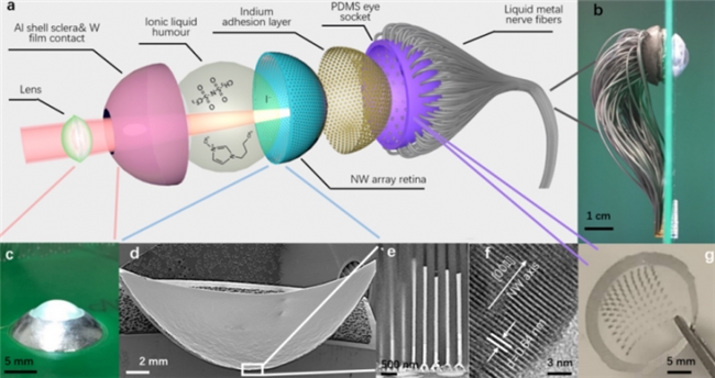 感官代偿分层设计法：让设计人人可及