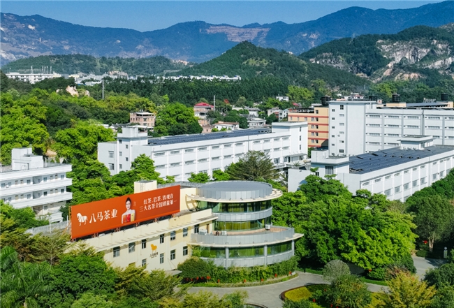 八马茶业：武夷山与安溪两大发源地独立捐建乡村儿童操场，点亮茶乡童年