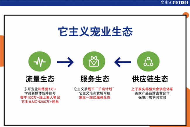 它主义培训怎么样？品牌背书+实战案例，创业更省心