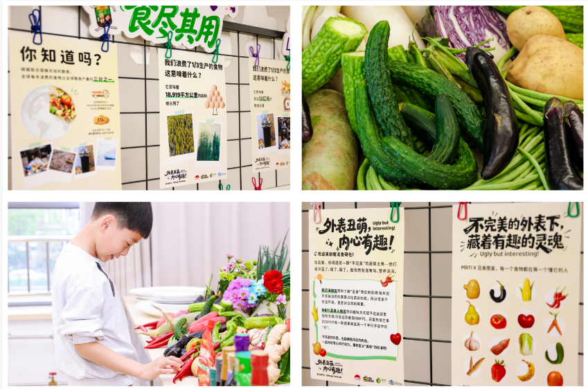 世界地球日实践：惜食魔法袋以&ldquo;多元场景&rdquo;搭建公众参与可持续生活的桥梁