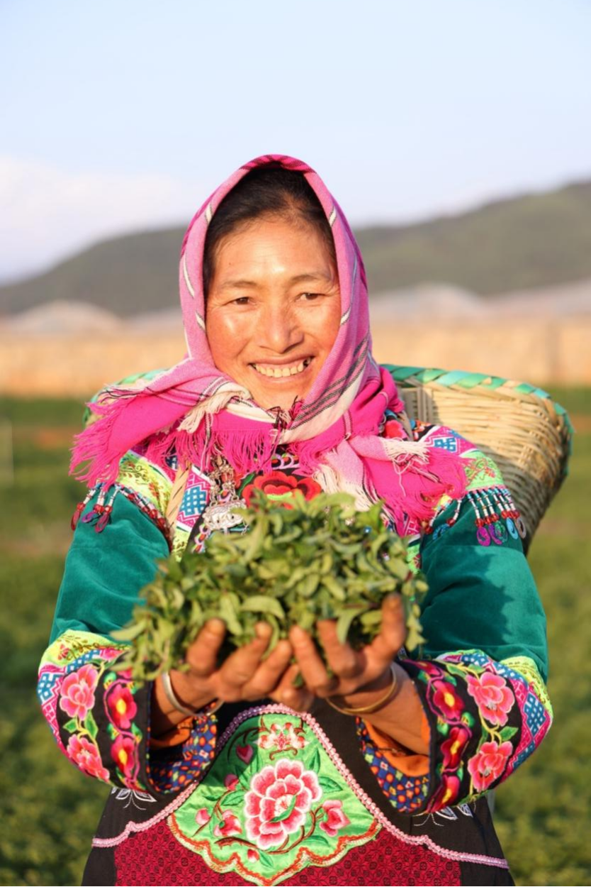 一片薄荷带动百亿市场，益禾堂与年轻人的信任是怎样练成的