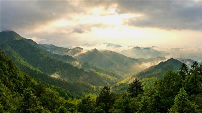 千年药库育灵草，古法匠心熬好膏｜药姑山膏方，把养生融入三餐四季！