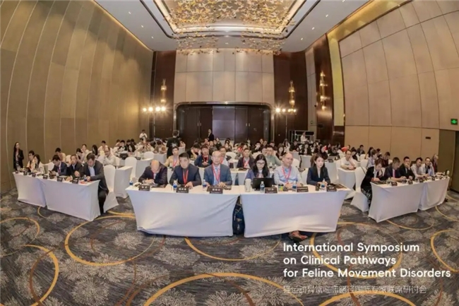 猫咪肌无力怪猫粮？专家：病因复杂，需综合鉴别诊断