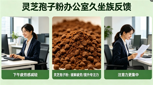 中老年免疫养护：芝素堂灵芝孢子粉增强体质一站式攻略