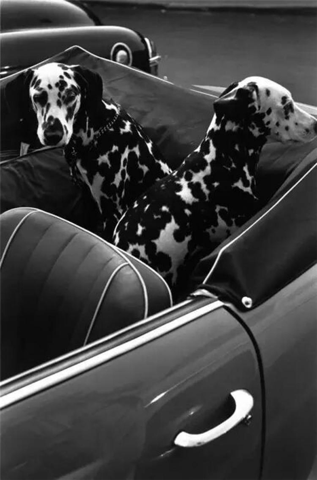 百年徕卡：用镜头定格人类历史的光影传奇