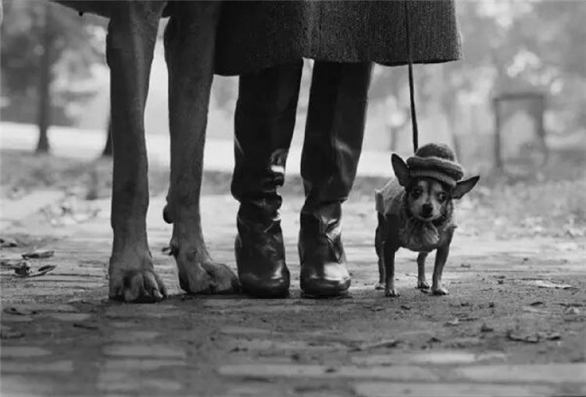 百年徕卡：用镜头定格人类历史的光影传奇