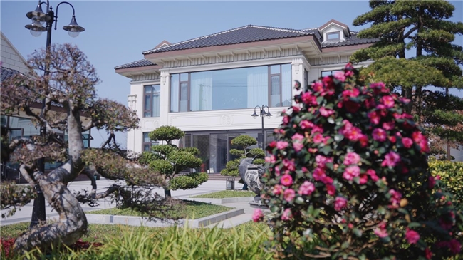 2026厨房装修秘诀：森歌不锈钢定制家居“柜电集成”来助力