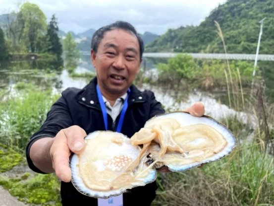 传统渔业迭代，“鱼蚌共生”走出大水面生态养殖新路子