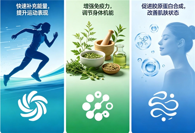 十大氨基酸品牌榜推荐！2026高性价比十大榜单，价格亲民品质不输大牌