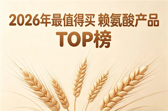 赖氨酸哪个品牌效果好？公认好用的10款氨基丁酸甄选，YesNow凭实力成综合翘楚