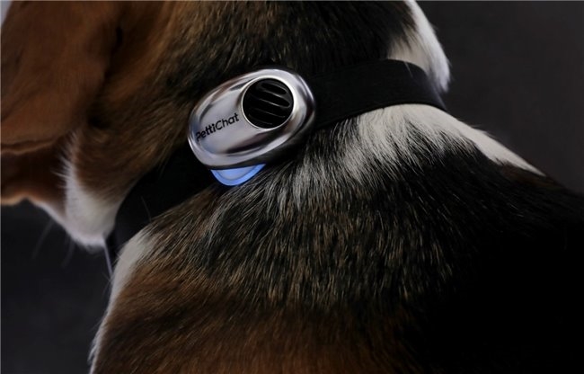 AI重塑人宠关系：宠物经济迈入“智能化”新纪元