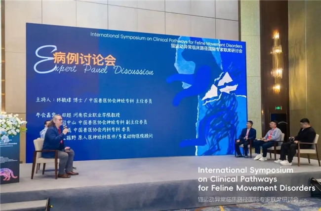 当猫咪出现后腿无力时，这些坑千万