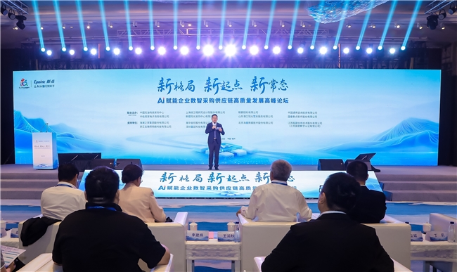 懂行×实干：新点软件在数字中国建设峰会上的AI答卷