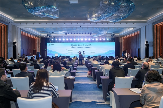 懂行×实干：新点软件在数字中国建设峰会上的AI答卷