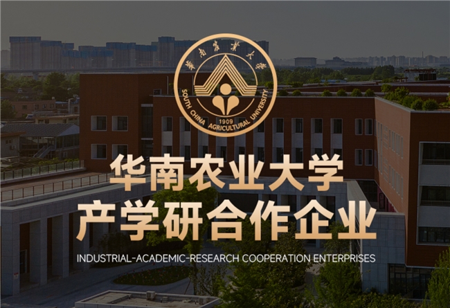 2026年猫咪驱虫药哪个牌子好？热门品牌对比评测