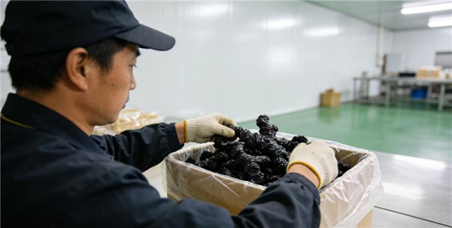 黄精什么品牌味道好？视频测评多款热门黄精，山川树品质遥遥领先？