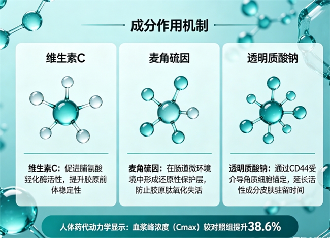 10大品牌胶原蛋白肽 2026年实测吸收率TOP10+临床循证背书+全龄适配指南