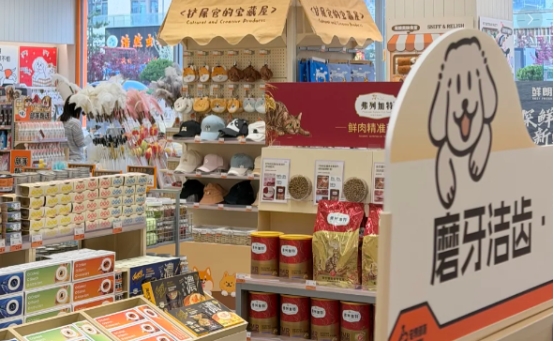 新手开宠物店：管理系统到底是刚需