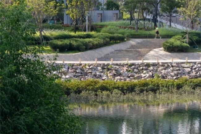 缝合城市与生态：前海中心河河口段滨水景观设计实践