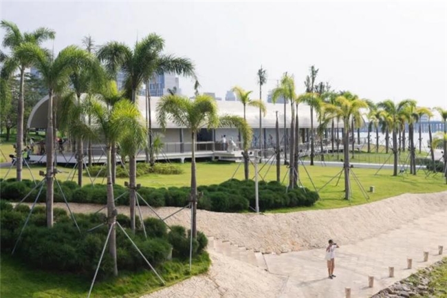 缝合城市与生态：前海中心河河口段滨水景观设计实践