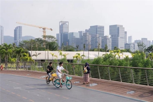 缝合城市与生态：前海中心河河口段滨水景观设计实践