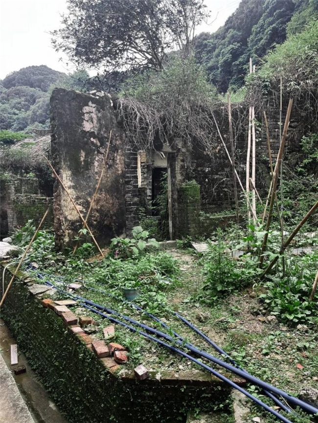 紋建筑新作｜惠州桂花院：轻介入的边界重构