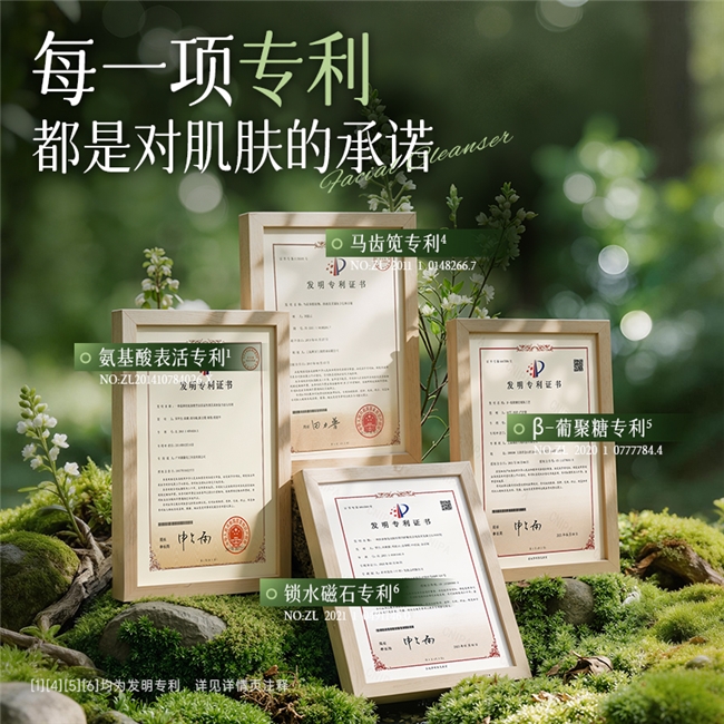 专利成分示意