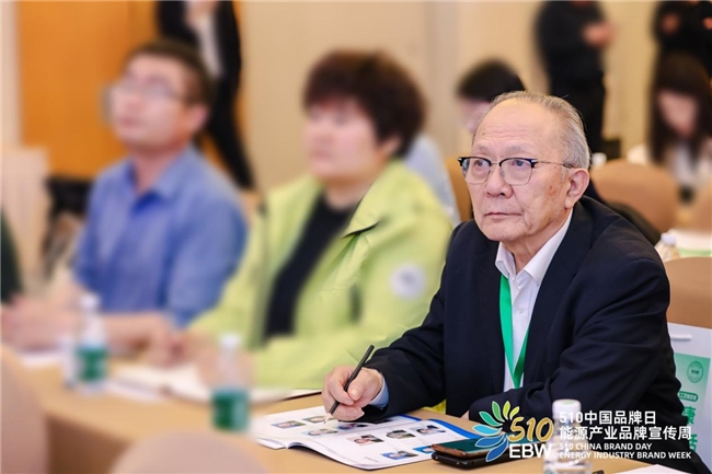 业林国际集团:以电化学科技筑牢环保防线,赋能绿色高质量发展