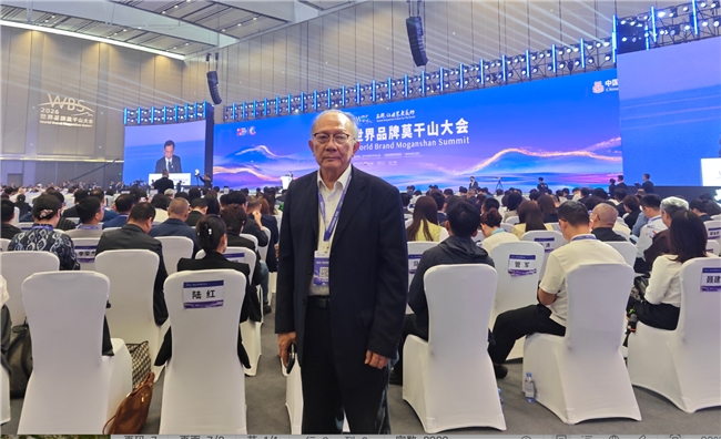业林国际集团:以电化学科技筑牢环保防线,赋能绿色高质量发展