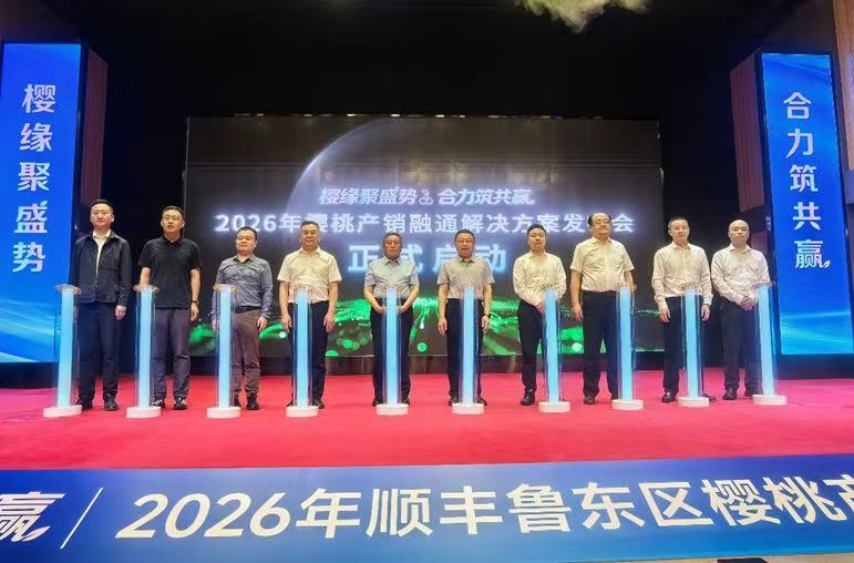 荣膺双授牌·智链新生态｜顺丰深耕十九载，让樱香通达全国