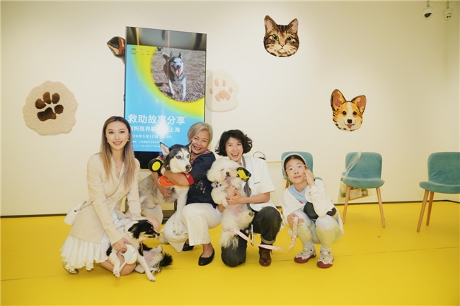 smart携手“狗狗视界 PAWSPECTIVE
