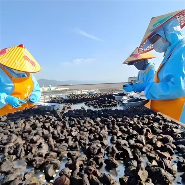 九制黄精哪个牌子正宗?2026 道地产区严选,无添加高纯度品牌放心选 九制黄精哪个牌子正宗?2026 道地产区严选,无添加高纯度品牌放心选