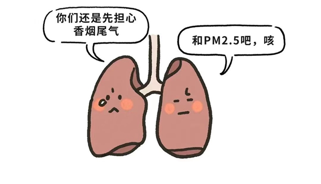 刚需工位空气净化器别乱买！2026十大热门机型除二手烟深度实测