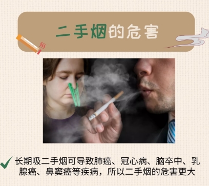 刚需工位空气净化器别乱买！2026十大热门机型除二手烟深度实测
