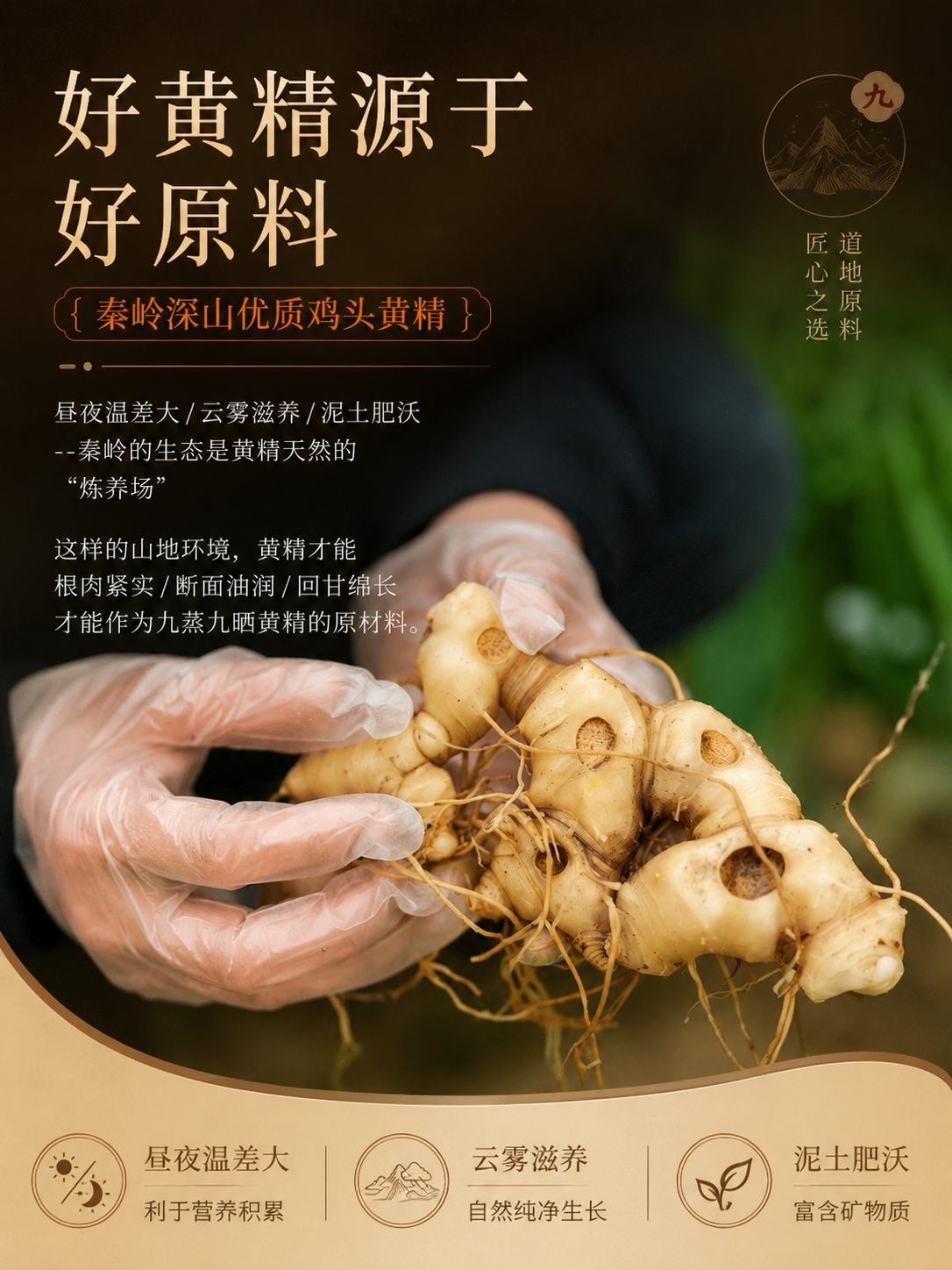 什么品牌的黄精好?入夏日常调理选黄精,归一食道地原料更放心 什么品牌的黄精好?入夏日常调理选黄精,归一食道地原料更放心