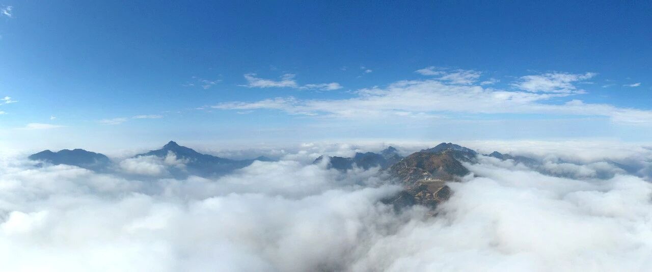 2026年凤凰单丛核心产区真相:为什么只认定凤凰山高山茶!