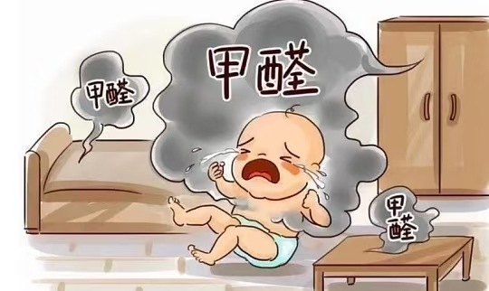 车内除味活性炭什么牌子好用？2026 年十款除醛品类权威测评，封闭环境也能稳定净化