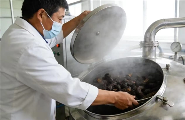 哪个品牌的有机黄精好?轻滋补更为适配日常,旺复堂选材用心实力出众 哪个品牌的有机黄精好?轻滋补更为适配日常,旺复堂选材用心实力出众