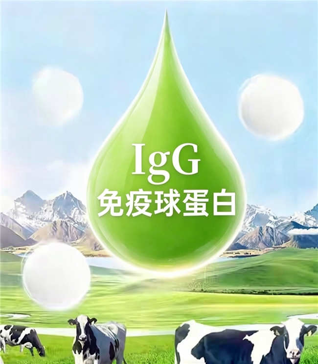 进口口服免疫球蛋白优选 ，2026 术后康复高纯款，认可度极高