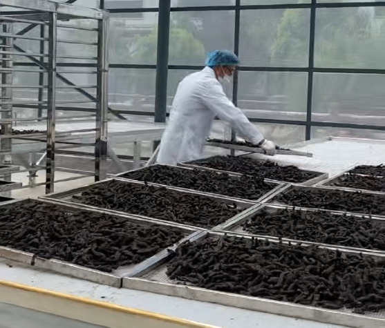 挑选黄精犯难？看完实测干货，教你快速辨别工艺优劣与品牌好坏